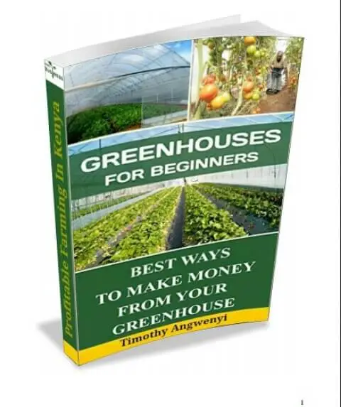 Greenhouses For Beginners